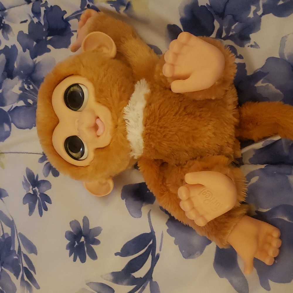 Hasbro FurReal Friends Check Up Zandi Monkey Talking Sound Effects Plush 9" Toy